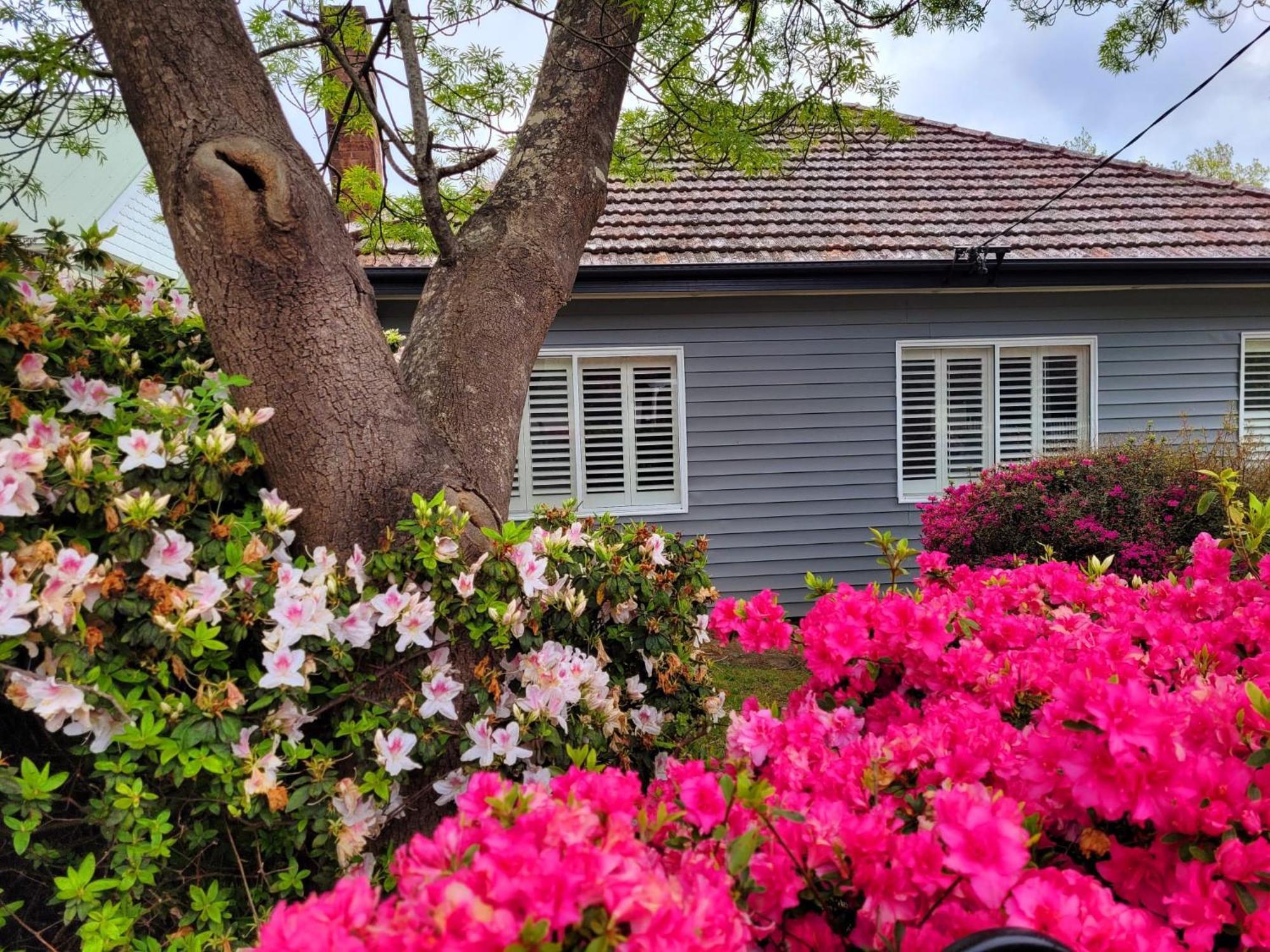 La Villette Sleeps 9 Fireplace Bbq Pet Friendly Katoomba Exterior foto